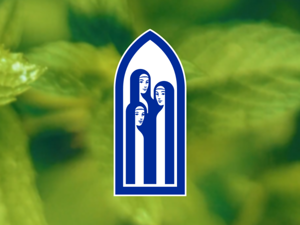 Klosterfrau Group